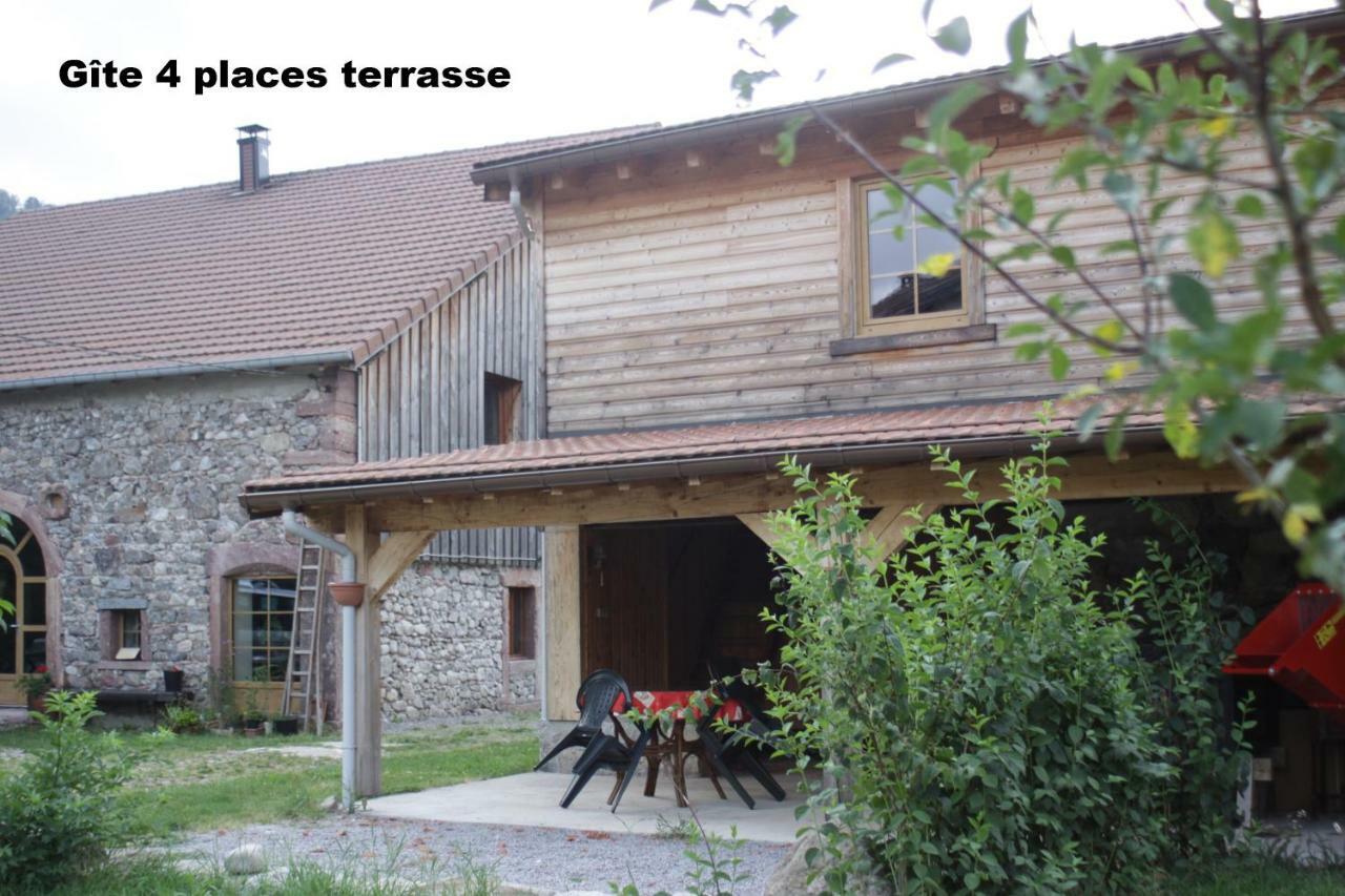 Gites Typiques Au Coeur Des Hautes Vosges Saulxures-sur-Moselotte 外观 照片