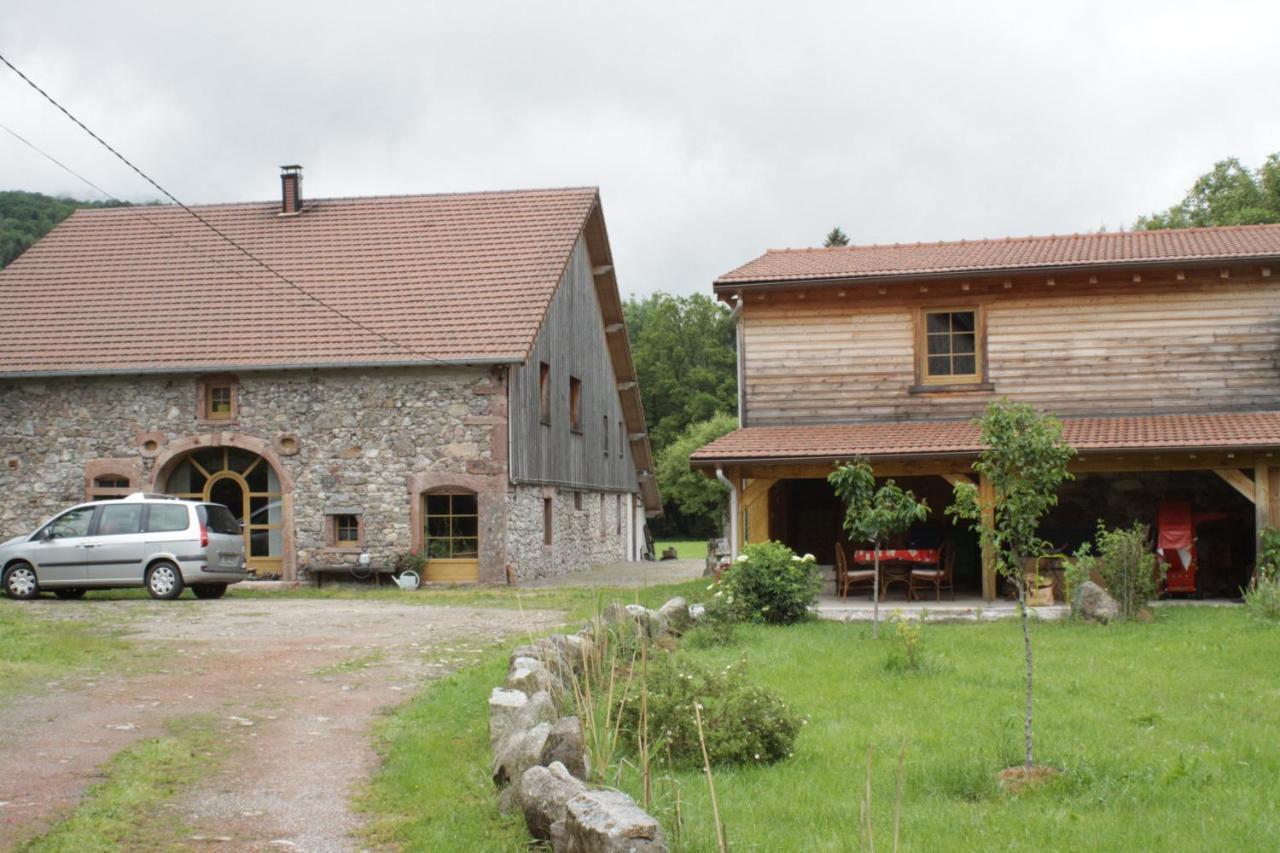 Gites Typiques Au Coeur Des Hautes Vosges Saulxures-sur-Moselotte 外观 照片